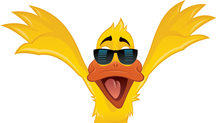 Image of Spa Max Duck Character